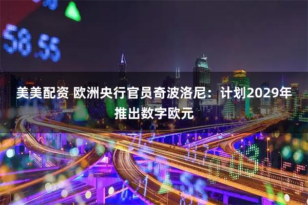 美美配资 欧洲央行官员奇波洛尼：计划2029年推出数字欧元