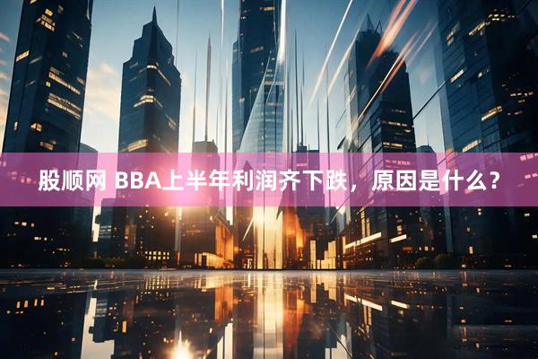 股顺网 BBA上半年利润齐下跌，原因是什么？