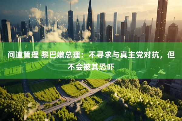 问道管理 黎巴嫩总理：不寻求与真主党对抗，但不会被其恐吓